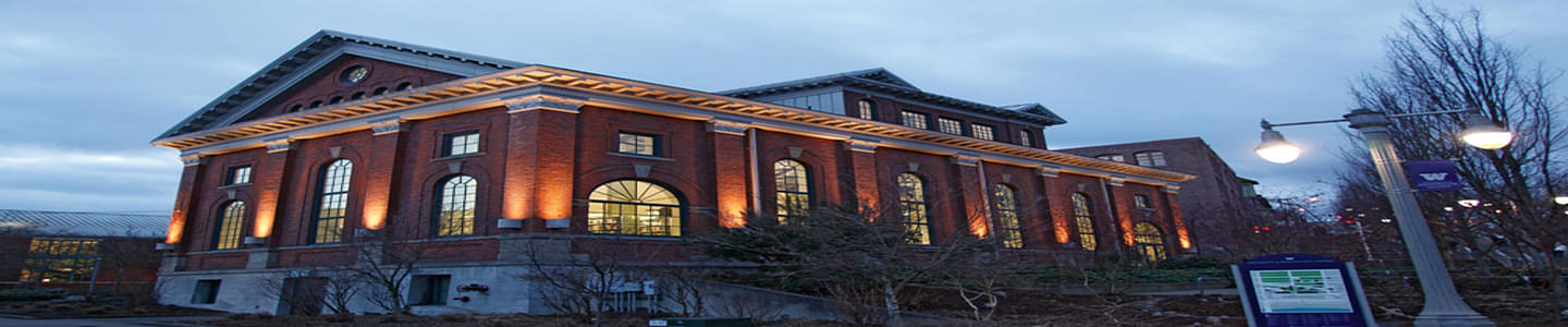 University of Washington banner